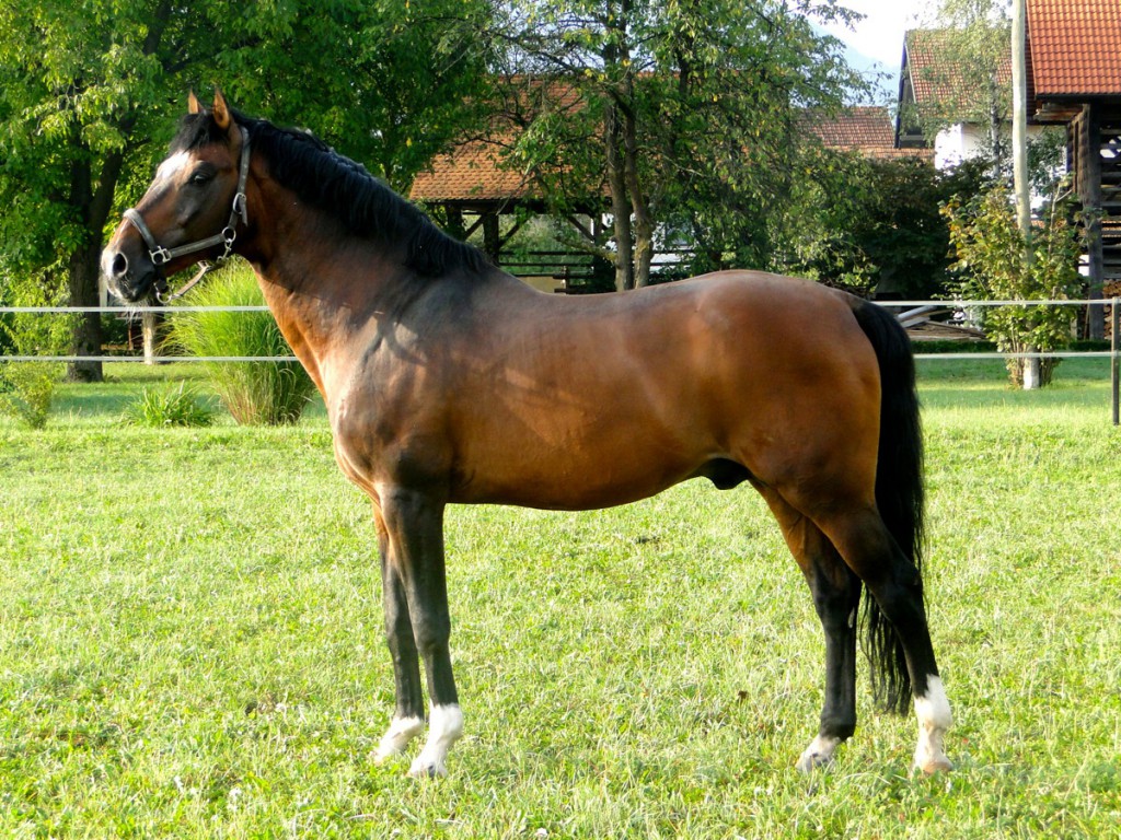 Lord Sherry